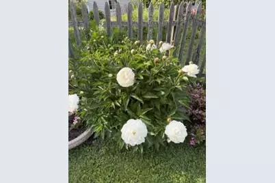 161 Charles Street, Belfast, ME 04915 - Photo 6