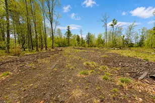 Map13Lot30 Clarks Bridge Rd, Waterboro, ME 04061 - Photo 1