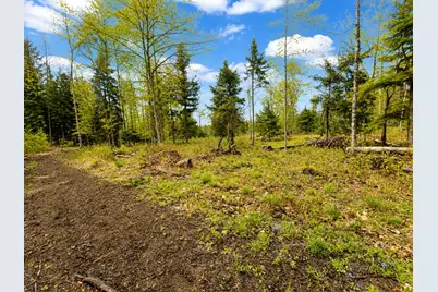 Map13Lot30 Clarks Bridge Road, Waterboro, ME 04061 - Photo 6