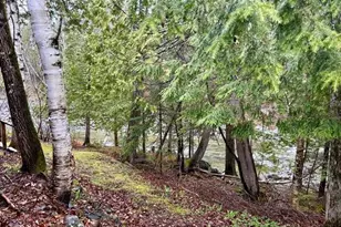 1264 Carrabassett Dr, Carrabassett Valley, ME 04947 - Photo 6