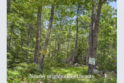 Lot 2 Sodom Road, Bristol, ME 04539 - Photo 22