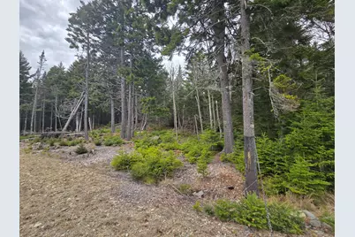 30 Wohoa Bay Drive, Addison, ME 04606 - Photo 8
