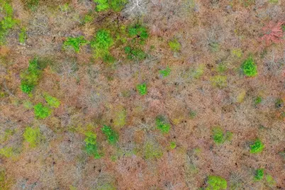 40 Rocky Road, Otisfield, ME 04270 - Photo 8
