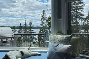 29 Loons Call, Winter Harbor, ME 04693 - Photo 50