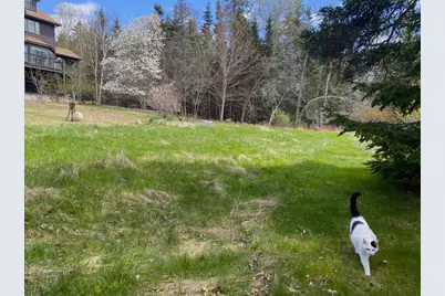 29 Loons Call, Winter Harbor, ME 04693 - Photo 56