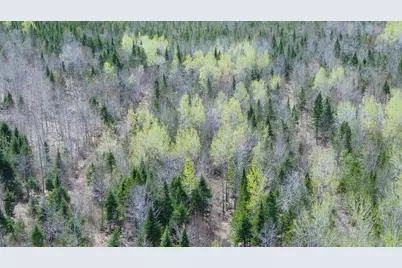 Lot 7 Wilcox Road, Cary, ME 04471 - Photo 12