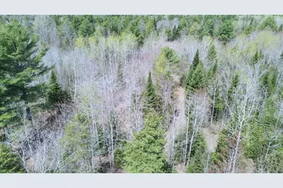 Lot 7 Wilcox Road, Cary, ME 04471 - Photo 8