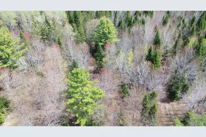 Lot 7 Wilcox Road, Cary, ME 04471 - Photo 4