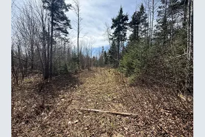 Lot 7 Wilcox Road, Cary, ME 04471 - Photo 14