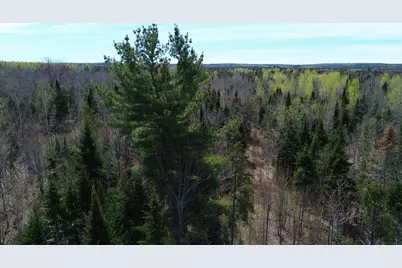 Lot 7 Wilcox Road, Cary, ME 04471 - Photo 6