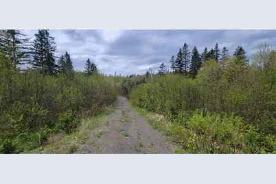 647 Gagnon Road, Madawaska, ME 04756 - Photo 6