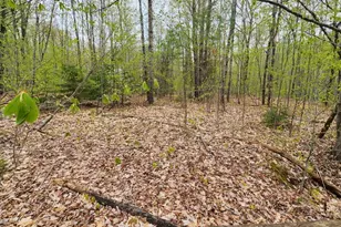 Lot 019 Olivewood Circle, Wilton, ME 04294 - Photo 1