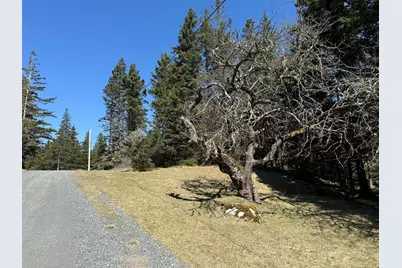 18 Jericho Bay Road, Swans Island, ME 04685 - Photo 6