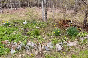 17 Old Pond Rd, Dexter, ME 04930 - Photo 86