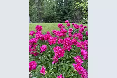 30 Merritt Drive, Orono, ME 04473 - Photo 56