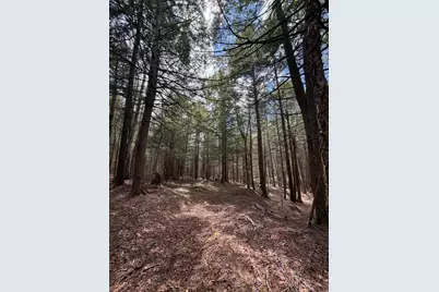 108B Flying Point Road, Freeport, ME 04032 - Photo 8