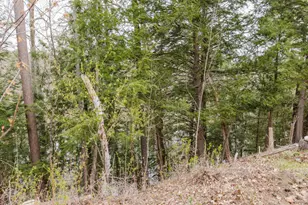 22 Lyons Ln, Dixfield, ME 04224 - Photo 44
