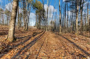 Lot 1 Hostile Valley Rd, Palermo, ME 04354 - Photo 16
