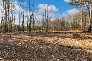Lot 11 Pine Hill Rd, Palermo, ME 04354 - Photo 16
