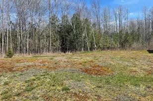 319 Dexter Rd, Saint Albans, ME 04971 - Photo 26