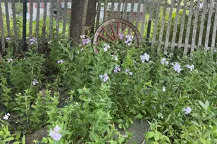28 Washington St, Eastport, ME 04631 - Photo 80