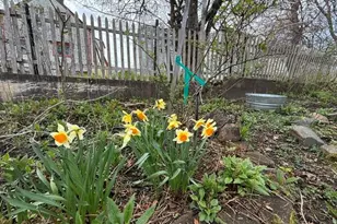 28 Washington St, Eastport, ME 04631 - Photo 82