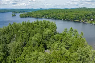 5 Zakelo Island Rd, Harrison, ME 04040 - Photo 68