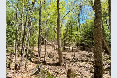 1029 North Road, Parsonsfield, ME 04047 - Photo 12