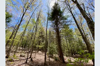 1029 North Road, Parsonsfield, ME 04047 - Photo 16