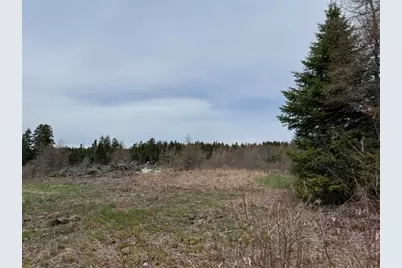 Lot 2 Holmes Bay Farms Road, Whiting, ME 04691 - Photo 6