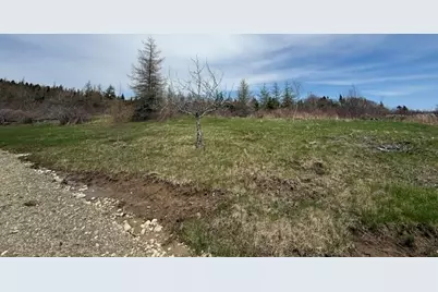 Lot 3 Holmes Bay Farms Road, Whiting, ME 04691 - Photo 1