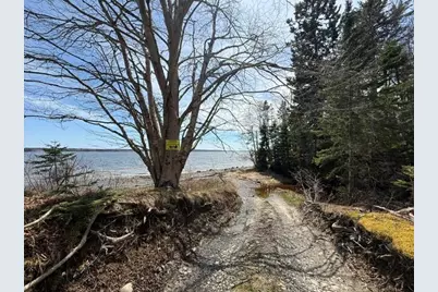Lot 3 Holmes Bay Farms Road, Whiting, ME 04691 - Photo 8