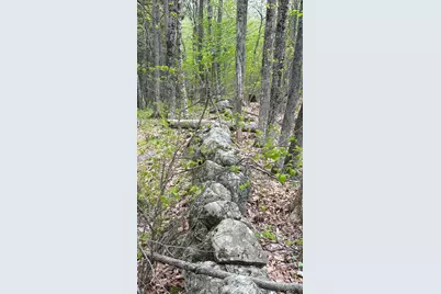 Lot #042 Tower Road, Vienna, ME 04360 - Photo 10