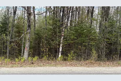 Lot #042 Tower Road, Vienna, ME 04360 - Photo 8