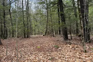 48 Highland Ridge, Hollis, ME 04042 - Photo 58