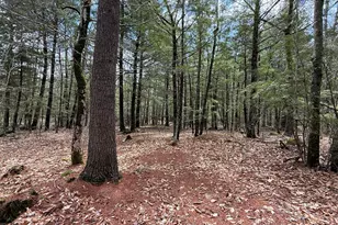 48 Highland Ridge, Hollis, ME 04042 - Photo 60