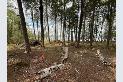 Lot12Part Old Indian Trail Road, East Machias, ME 04630 - Photo 26