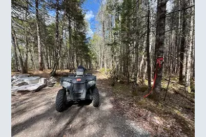 Lot12Part Old Indian Trail Road, East Machias, ME 04630 - Photo 32