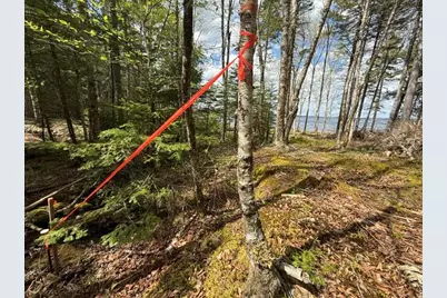 Lot12Part Old Indian Trail Road, East Machias, ME 04630 - Photo 16