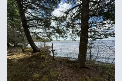 Lot12Part Old Indian Trail Road, East Machias, ME 04630 - Photo 12