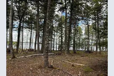 Lot12Part Old Indian Trail Road, East Machias, ME 04630 - Photo 18