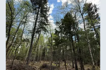 Lot12Part Old Indian Trail Road, East Machias, ME 04630 - Photo 22