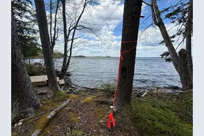 Lot12Part Old Indian Trail Road, East Machias, ME 04630 - Photo 6