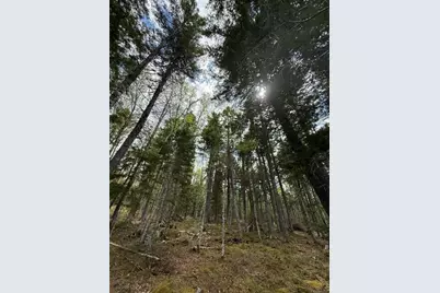 Lot12Part Old Indian Trail Road, East Machias, ME 04630 - Photo 20