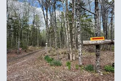Lot12Part Old Indian Trail Road, East Machias, ME 04630 - Photo 34