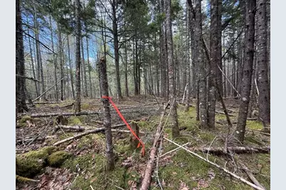Lot12Part Old Indian Trail Road, East Machias, ME 04630 - Photo 30