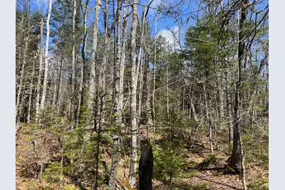 025-026 Between Goodrich N Mahoney Hil, Bingham, ME 04920 - Photo 14