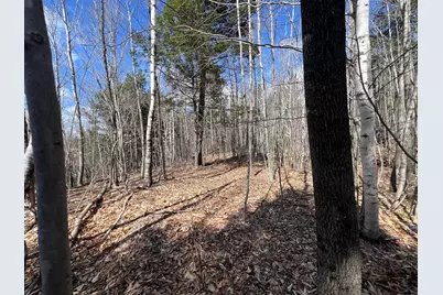 025-026 Between Goodrich N Mahoney Hil, Bingham, ME 04920 - Photo 10