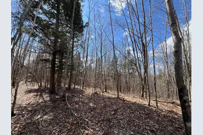 025-026 Between Goodrich N Mahoney Hil, Bingham, ME 04920 - Photo 12