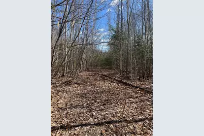 025-026 Between Goodrich N Mahoney Hil, Bingham, ME 04920 - Photo 8